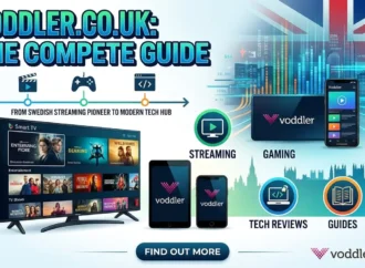 Voddler.co.uk Explained: Content, History & Features